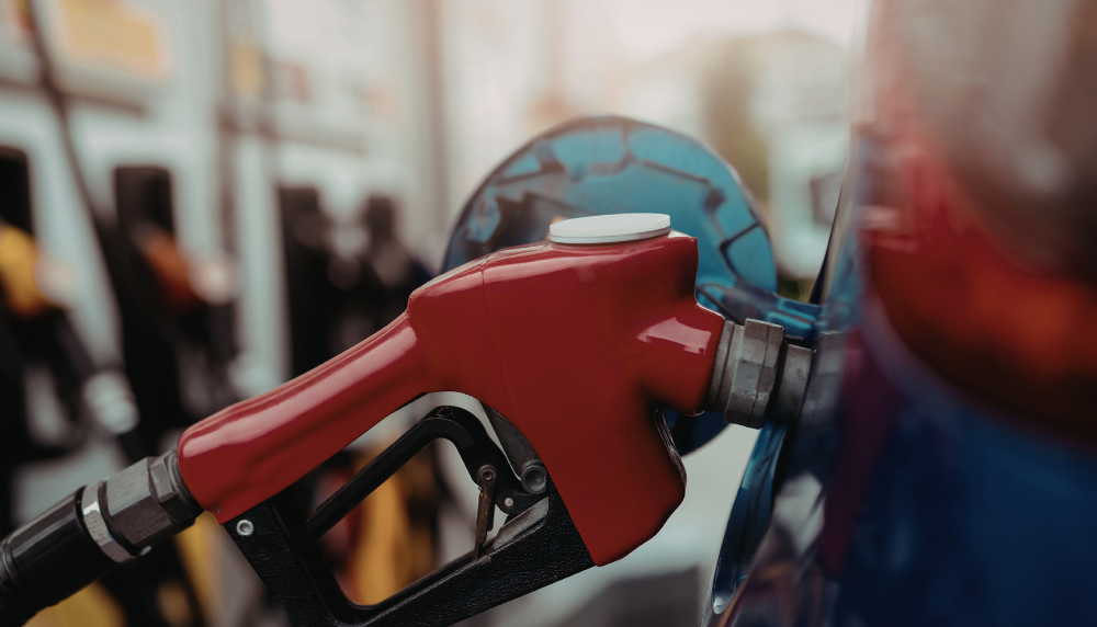 your paragraph text (1)